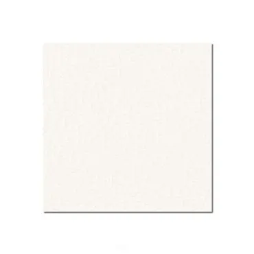 Birkensperrholz 120 x 79 cm, weiss kunststoffbeschichtet mit Gegenzugfolie 6, 9 mm