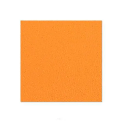 Birkensperrholz 120 x 79 cm, orange kunststoffbeschichtet mit Gegenzugfolie 6, 9 mm