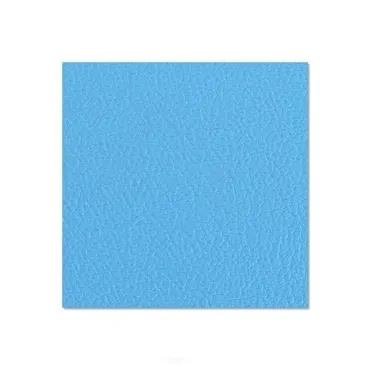 Birkensperrholz 120 x 79 cm, himmelblau kunststoffbeschichtet mit Gegenzugfolie 6, 9 mm