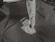 35-NAV050_d2.jpg