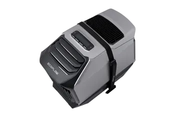 EcoFlow Wave 2 Strap