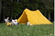 2FA95941_NatureHike_Tent_TwinPeaks8_01723_14.jpeg