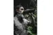 8F7434B0_500_COVERTBLACK_ULTRAPRESS_ALEXWANDER_PRIMITIVEWANDERER_ITALY_18.jpeg