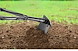 DE788BBF_Brunner_Trifold_05047_11.jpeg