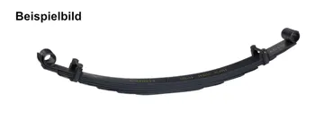 OME Feder Tacoma-04 hinten