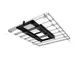 FF9D25A4_tbra018b.jpg