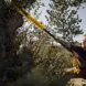 DC69BBEE_Verlaengerungsseil-Baumgurt-horntools-2.jpg