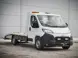 FA45C556_ll-gk-proace-01k_01_1.jpg