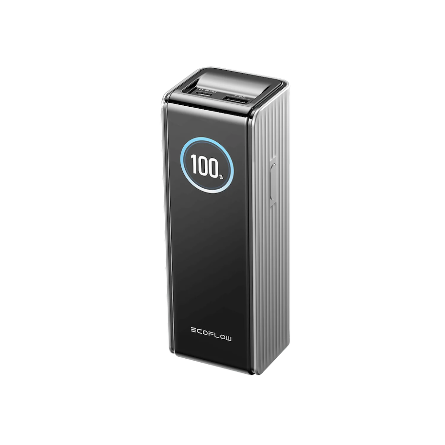 EcoFlow Powerbank 25'000 mAh (92.5 Wh) exkl. Kabel, grau
