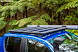 2FD1F63A_39-10JT1036_d5.jpg