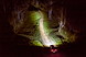 424DD8FD_2-ARBVX17B_d4.jpg