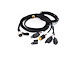 C5FA4A53_4l-cs-185_web.jpg