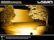 DDD2FE0F_utility-80-hd-with-amber-lens-beam-photo-_web.jpg