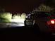 23B4A09B_nissan_navara-linear-36-night-photo_web.jpg