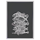 4AF55EBB_8cb57bc03ad76a5ca7fc1bd461582f5c6e117efb.png