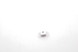 F7CFCD9F_50-10000700002_1.jpg