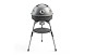 F47BDCCB_Brunner_DevilBBQruiser_HT50_1.jpeg