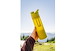7A2C1EC4_500FOR_FORAGERMOSS_GRAYL_ULTRAPRESS_GEOJENKINS_OREGON_DSC00201.jpeg