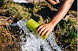 AE5ECA52_500FOR_FORAGERMOSS_GRAYL_ULTRAPRESS_GEOJENKINS_OREGON_DSC00476.jpeg