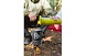 C4CE01FE_500FOR_FORAGERMOSS_GRAYL_ULTRAPRESS_GEOJENKINS_OREGON_DSC04993.jpeg