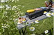 A4986F5D_Brunner_DevilMegagrill_10486_6.jpg