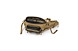 794CAB64_Grayl_MissionEXPHipPack_2_5L_CoyoteBrown_07912_3.jpg
