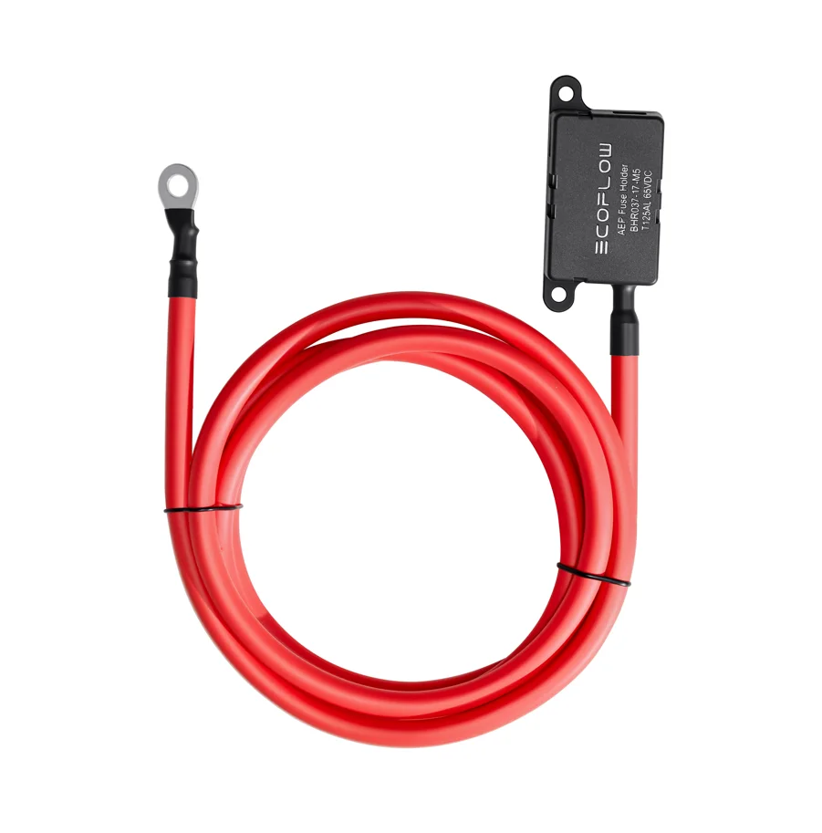 EcoFlow Batteriesicherung für Alternator Charger 800 W 2 m